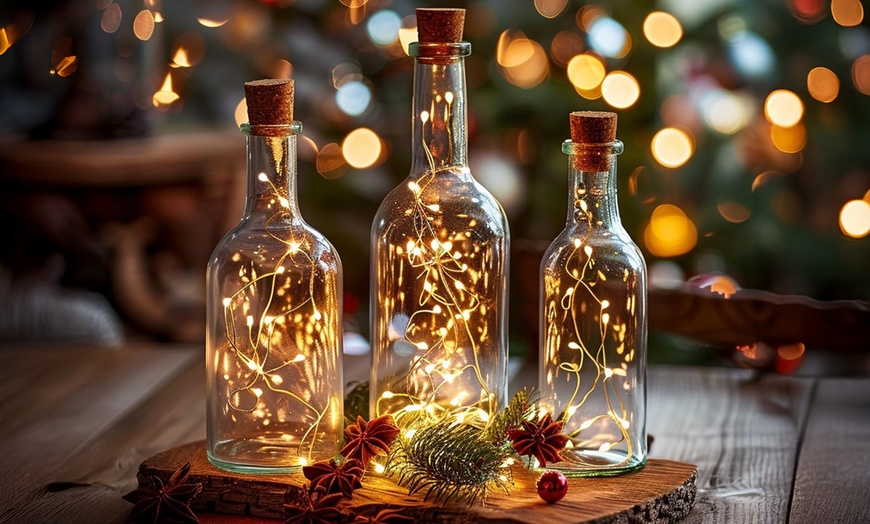 Image 6: Guirlandes lumineuses de 12 mètres