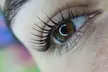 Lash Lift or Brow Lamination with Tint at Beauty Lab by Irina - Up to 30% Off - Second Medium