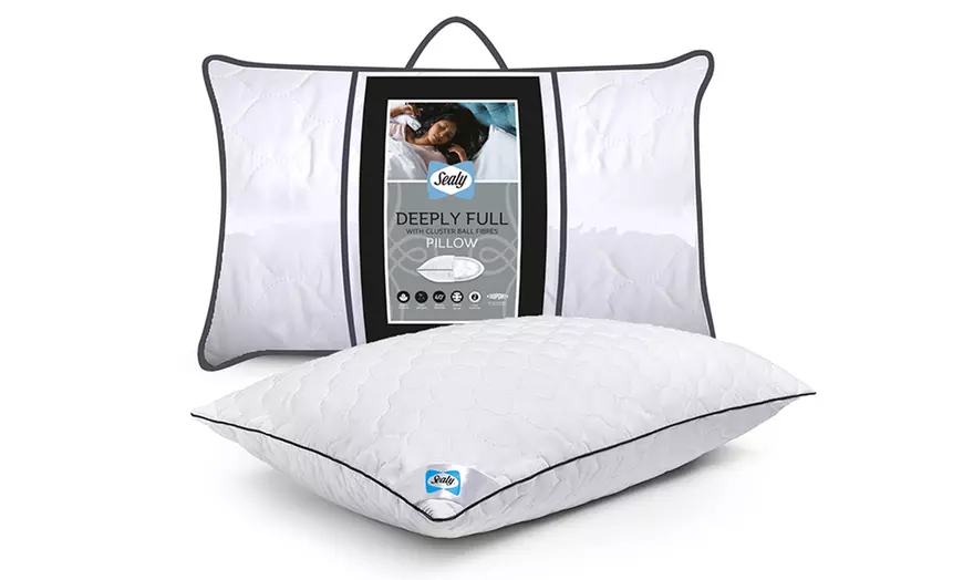 Image 6: Sealy Luxury Sealy Deeply Full Pillows, Duvets or Mattress Topper
