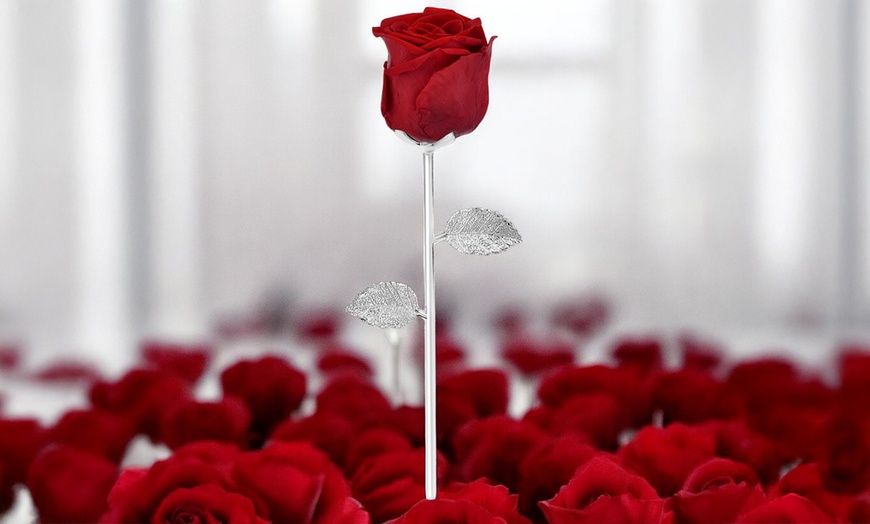 Image 1: Rosa eterna natural sobre un tallo de metal SC Crystal