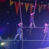 Image 3: Unforgettable Fun with One Child or Adult Ticket to John Lawson Circus
