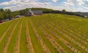 Explore Vineyard, Enjoy a Picnic & Souvenir Glasses for Two or Four