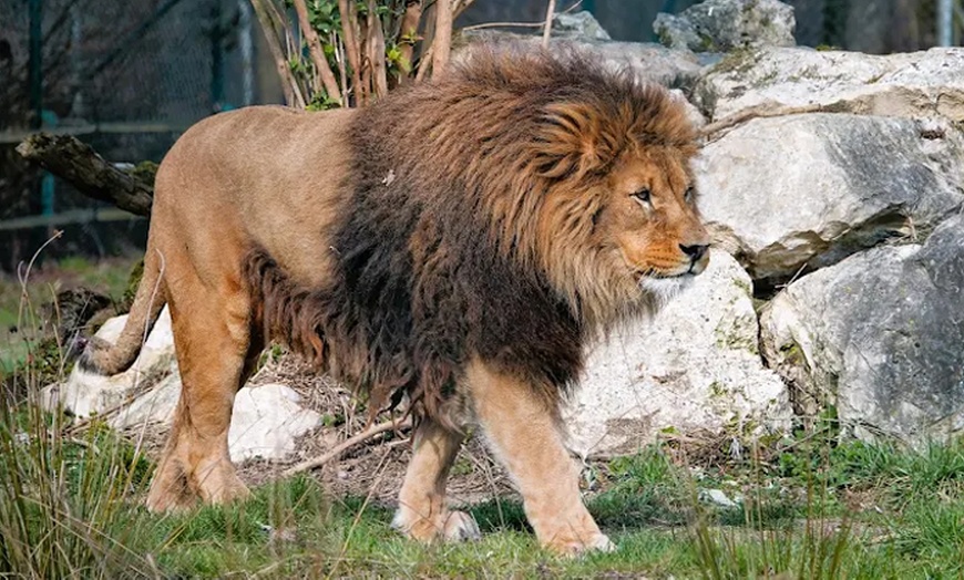 Image 10: Balade nature et biodiversité à deux pas de Paris