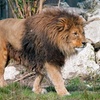 Image 10: Balade nature et biodiversité à deux pas de Paris