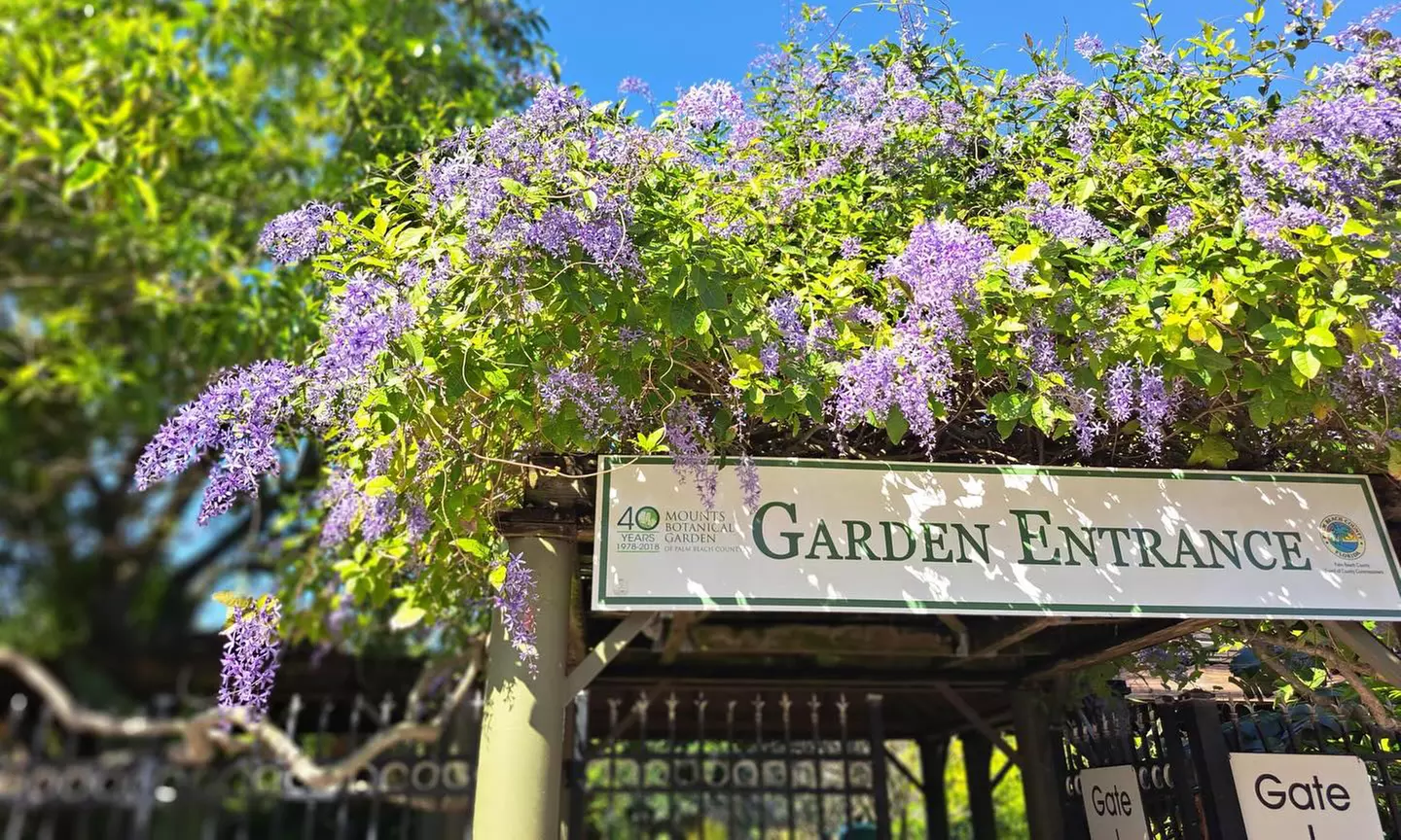 Step Into Nature’s Wonderland at Mounts Garden with GA Tickets
