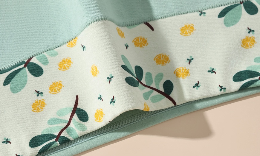 Image 5: 4er- oder 8er-Pack hochtaillierte Damen-Höschen