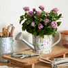 Image 1: Next Day Delivery Lush Plants from 1-800-Flowers (up to 55% off)
