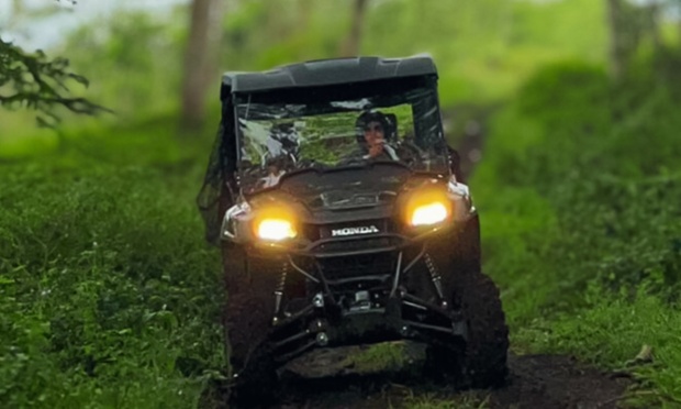 What to expect media