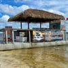 Image 2: 90-Min Daytime Family Friendly Tiki Tours at Fort Myers Beach