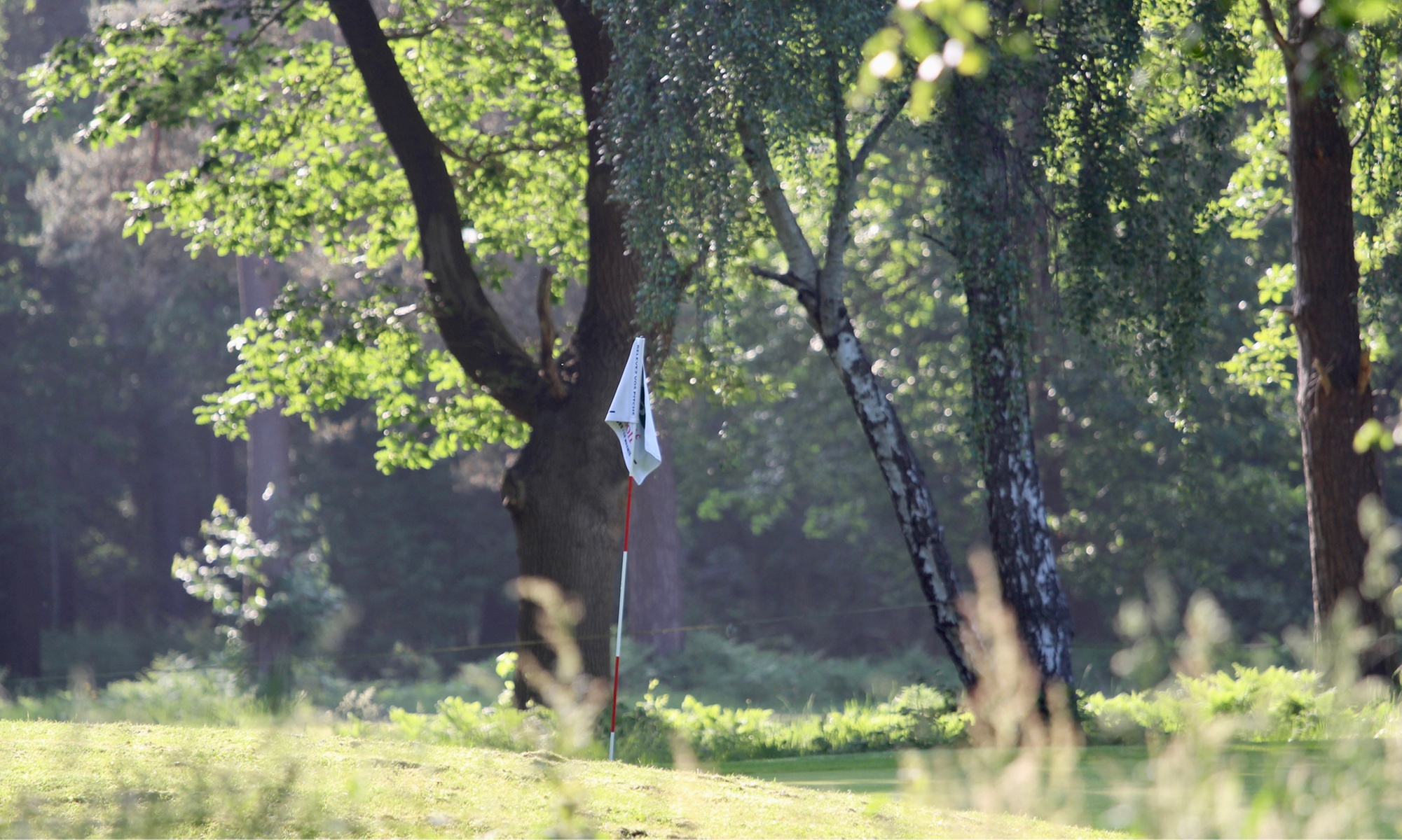 Initier ou perfectionner son swing au Golf de Jumièges