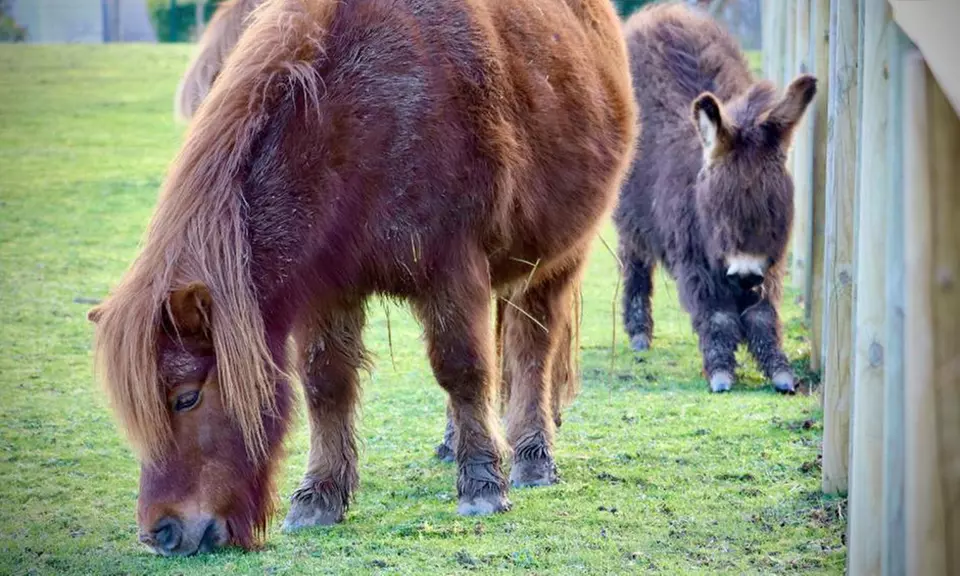 Disneyland Paris: 1 o 2 notti in hotel più ingresso al parco