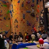 Image 5: All Day Climbing Pass with Equipment for One Child, Adult, or a Family