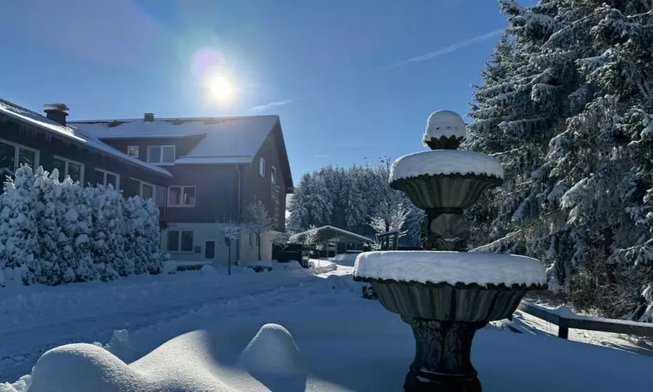 Winterberg: 2-3 Nächte inkl. Frühstück, 1x Dinner, Spa & Alpakas