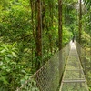 Image 7: 3- and 4-Star Mystery Costa Rica Hotel Stay with Tours