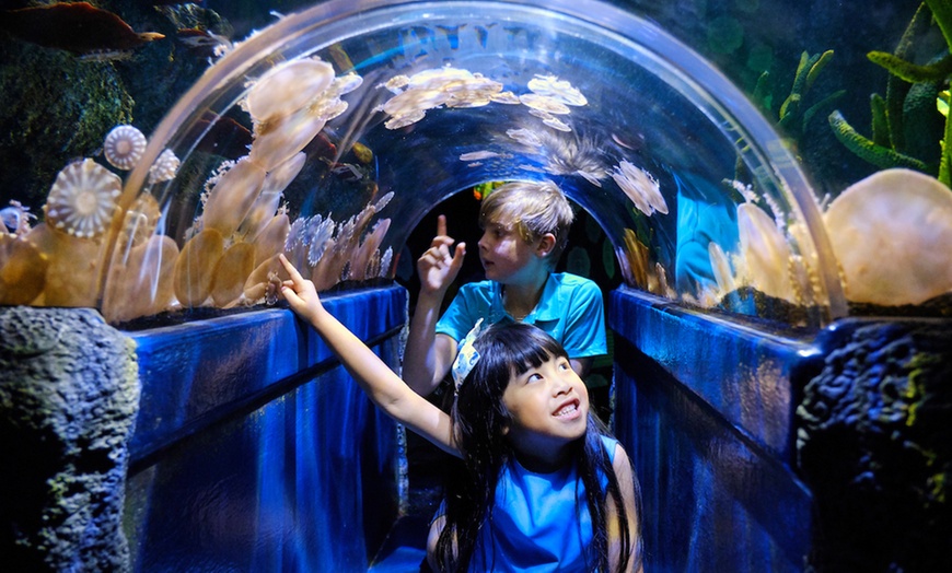 Image 2: Melbourne Big Ticket: Multi- Attraction Pass for Adults & Kids 