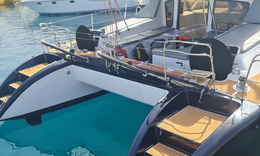 Image 6: Avistamiento de ballenas y delfines en catamarán para adultos y niños