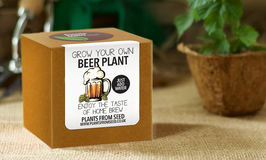 Image 2: Grow Your Own Men's Plant Kit