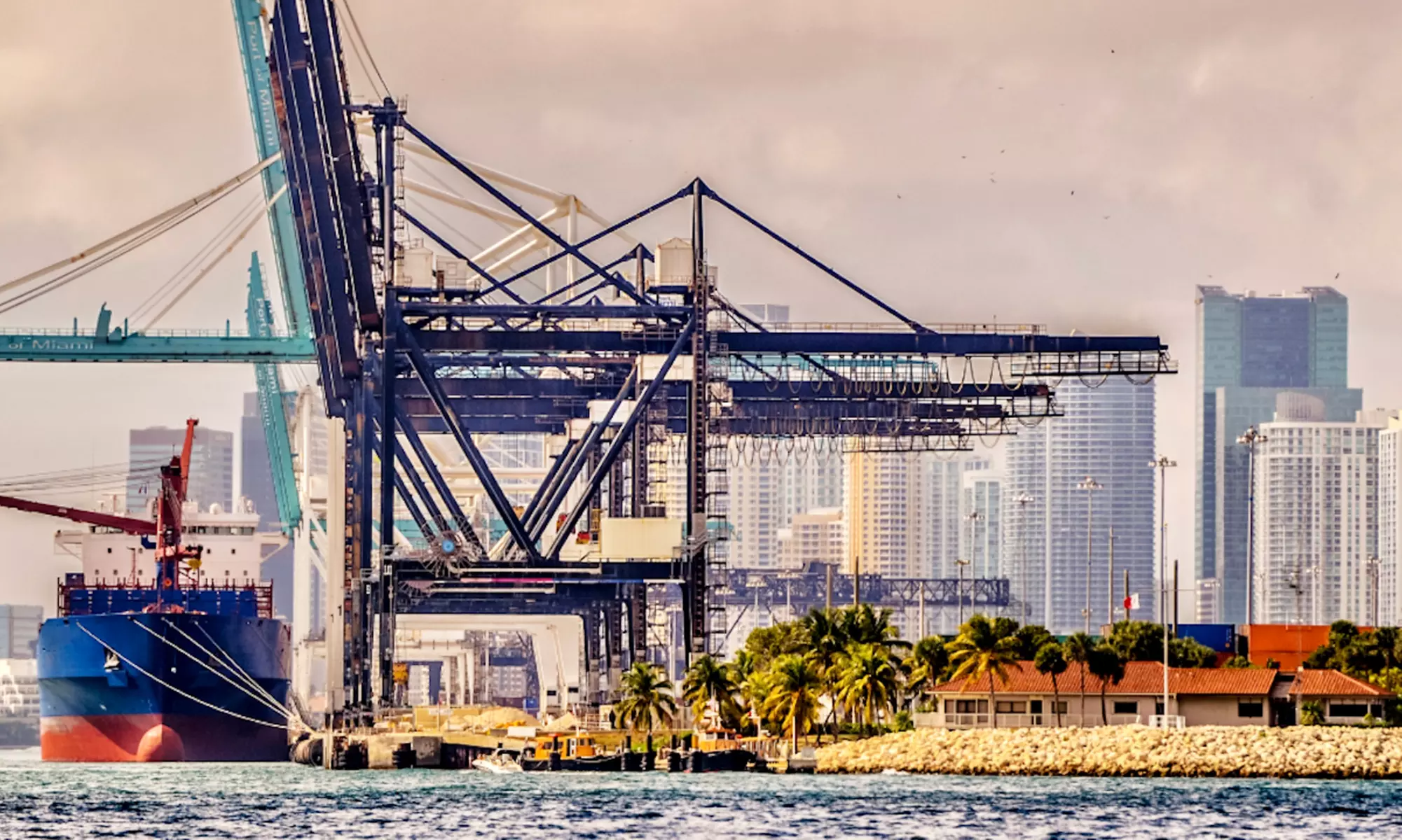 Miami Waterfront Adventure: 90-Minute Cityscape Tour
