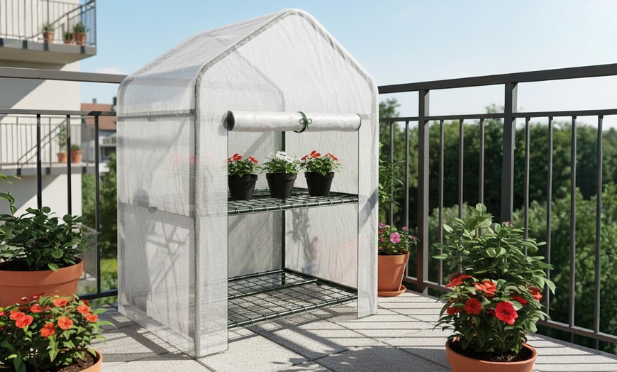 Image 33: Serre da giardino