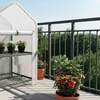 Image 33: Serre da giardino
