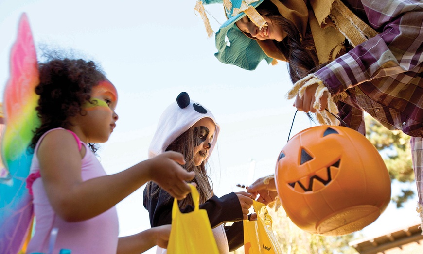 Image 4: EXCLUSIVE: Six Flags Magic Mountain - Up to 45% Off