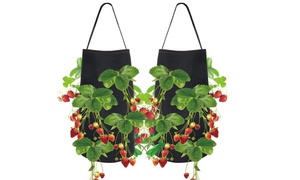  Hanging Strawberry Planting Bag 