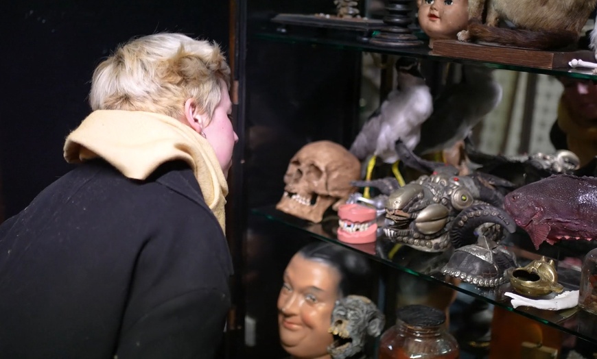 Image 4: Explore Museum of Curiosities with One, Two or Four Tickets 