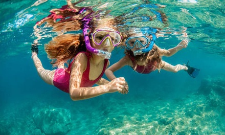 Para 1 persona Snorkeling  con biología marina - Diving la Casa del Mar