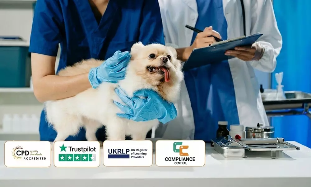 Animal Care Online Course: Lifetime Access to 2200 Courses, Free PDF Certificates & Transcripts (Up to 60% Off) - Primary Image