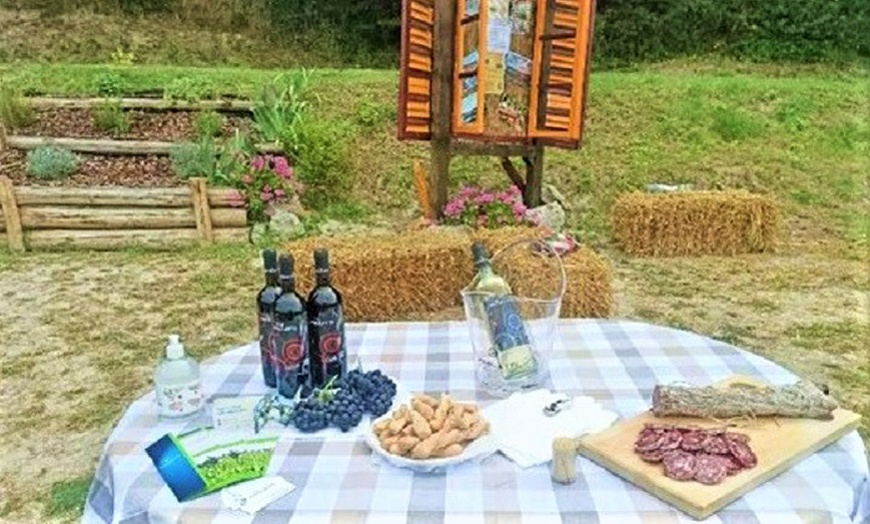 Image 17: Degustazione vini, salumi e formaggi da Azienda agricola Paoletti