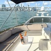 Image 9: Private Luxury Yacht 60 ft + Up to 13 People from Miami River!