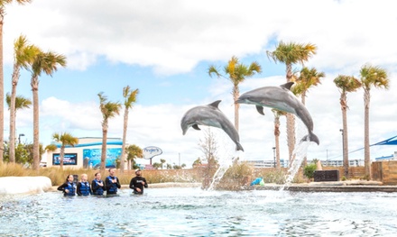 GetOut Florida Emerald Coast 12-Month Standard Pass for One - GetOut Florida Emerald Coast