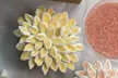 Sip & Build A Cupcake Bouquet / DIY Cupcake Decorating Kit at A Cake Baked In Brooklyn & Company (Up to 55% Off) - Second Medium