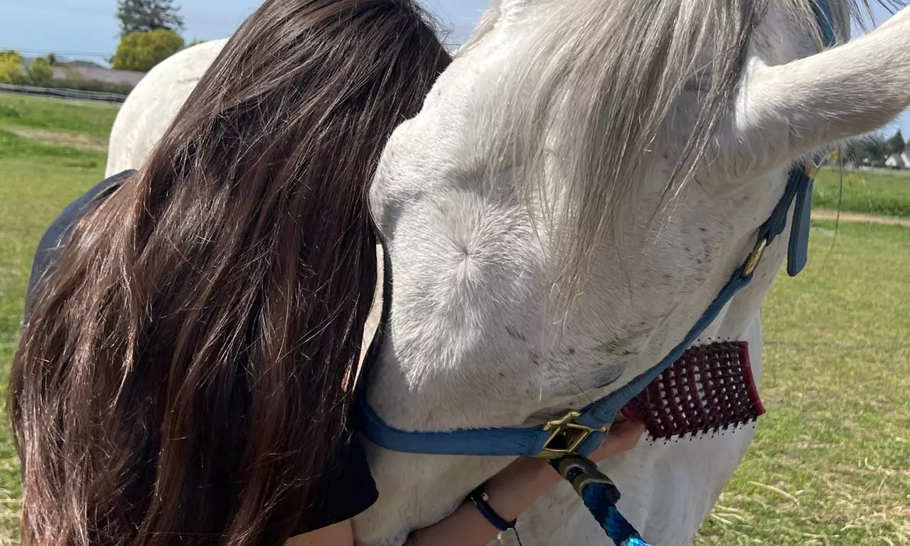 Discover Private Horseback Riding Session or Intro to Horses & Riding