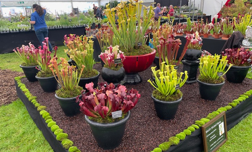 Image 6: Gardening & Outdoor Show | Royal Highland Centre | 26-27 July