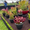 Image 6: Gardening & Outdoor Show | Royal Highland Centre | 26-27 July
