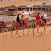 Image 13: Explore Abu Dhabi's Iconic Landmarks and Activities For Up to 7 People