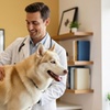 Image 1: Get Vet Consultation For Dog/Cat, Canine/Feline 1 Yr Package, or More