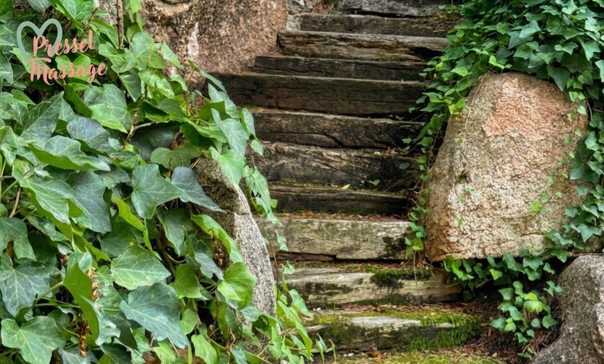 Image 2: Rituales faciales y corporales de hasta 90 minutos