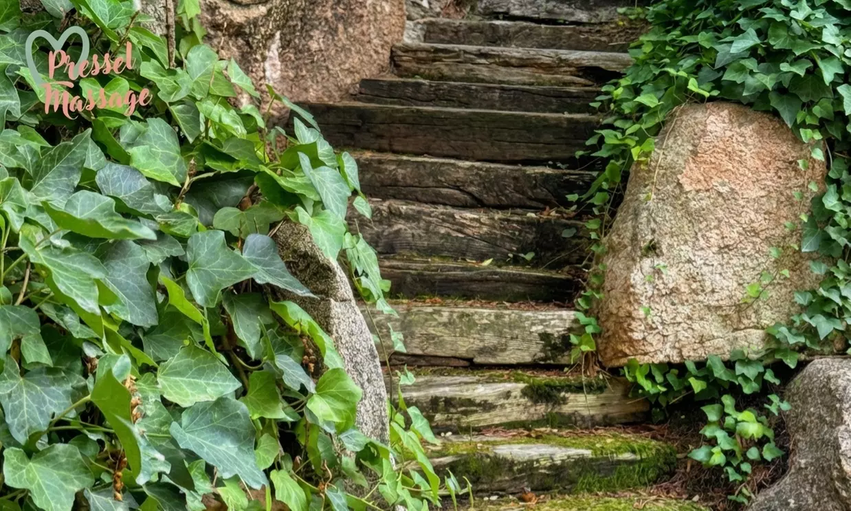 Rituales faciales y corporales de hasta 90 minutos