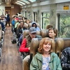 Image 3: ✈ Machu Picchu: 8-Day Peru Tour with Flights & Hotels + Llamas Visit
