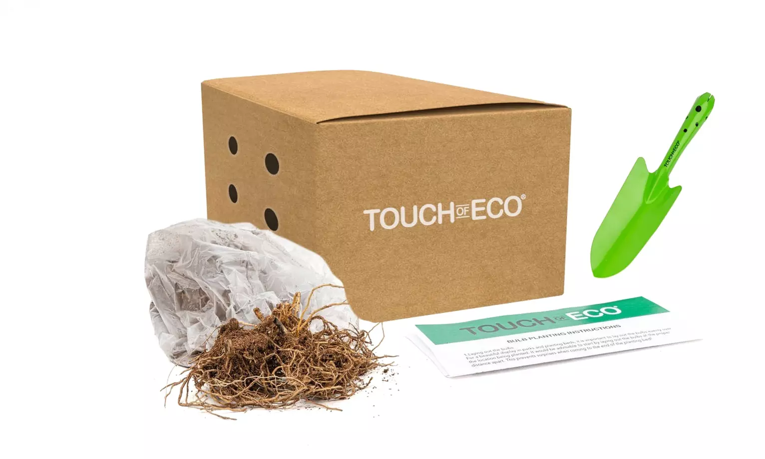 Hardy Heart-Shaped Hosta Bare Roots (Set of 6,12, or 24)