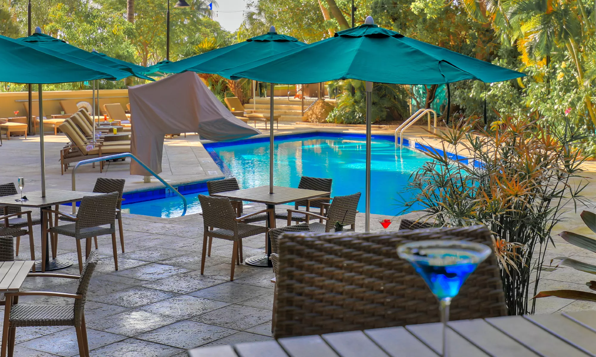 Relax at The Mutiny Hotel, Miami's Hidden Gem