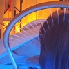 Image 2: Organic/Luxury Head Spa w/Massage on Neck & Scalp +Mini-Facial for 1-2