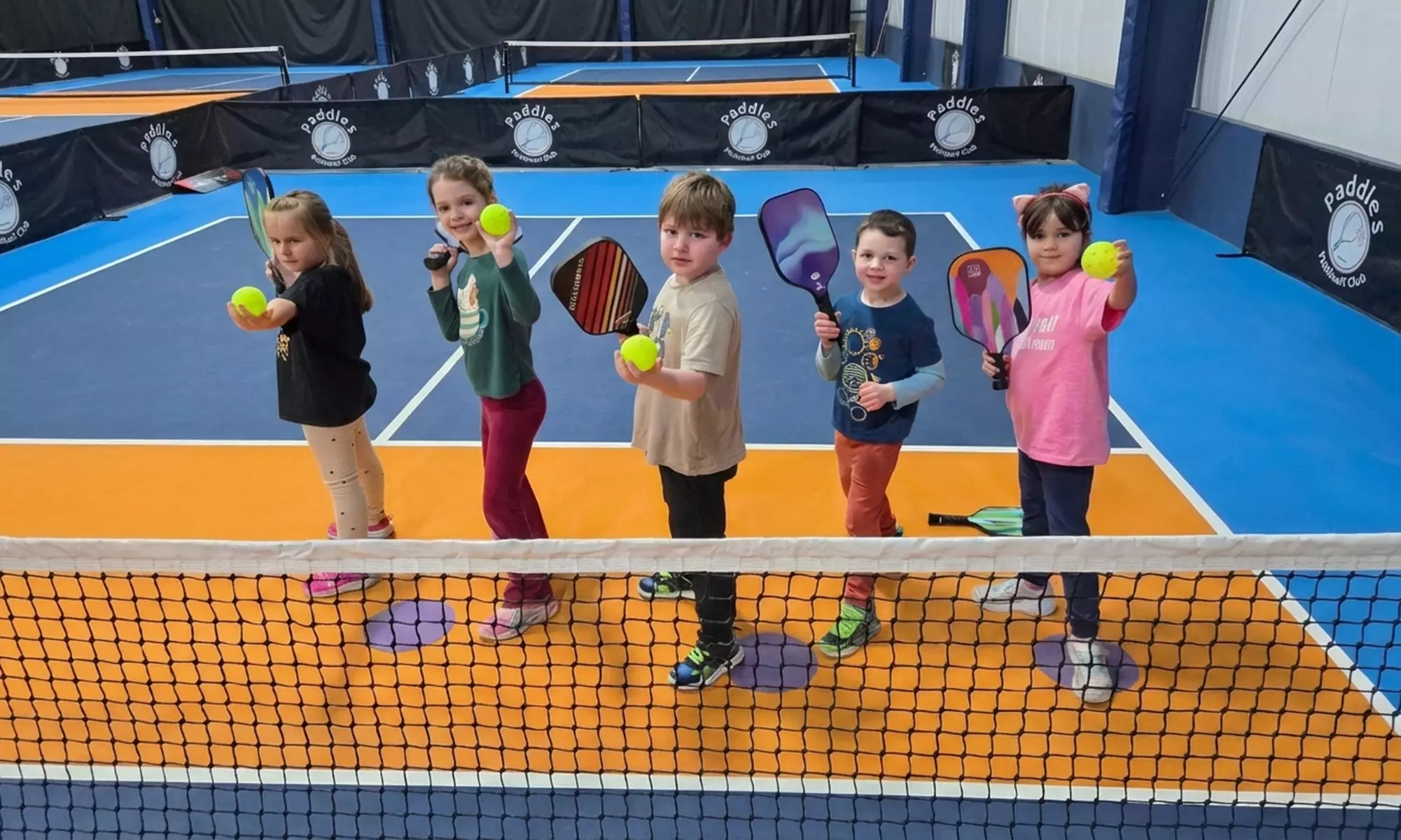 Pickleball or Tennis Lessons & Parties in Plymouth, MI