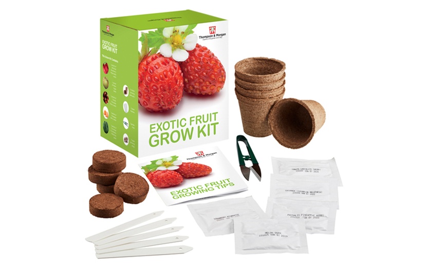 Image 5: Mixed Seed Grow Kits