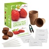 Image 5: Mixed Seed Grow Kits