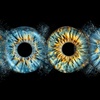 Image 11: Transform Your Eyes into Personalized Iris Art at Home
