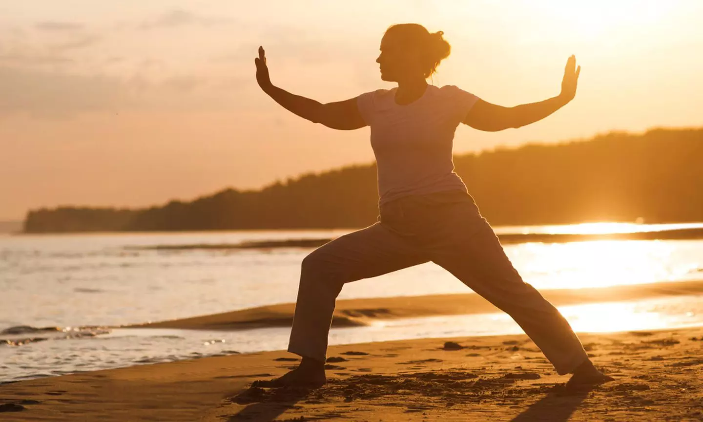 Formation aux étirements des méridiens ''Les étirements Makko Ho''