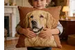 One Personalized Pet Portrait Pillow with a Lovely Pet Illustration from Justyling (78% Off) - Image 2